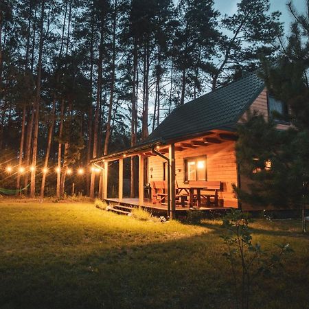 Lesna 21 Dom Poludnie Przy Puszcza Bialowieska Luka المظهر الخارجي الصورة