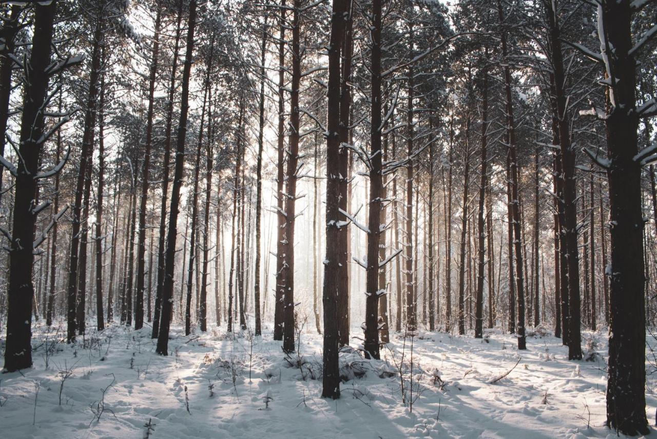 Lesna 21 Dom Poludnie Przy Puszcza Bialowieska Luka المظهر الخارجي الصورة