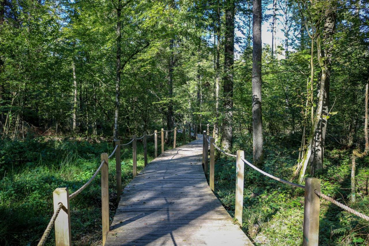 Lesna 21 Dom Poludnie Przy Puszcza Bialowieska Luka المظهر الخارجي الصورة