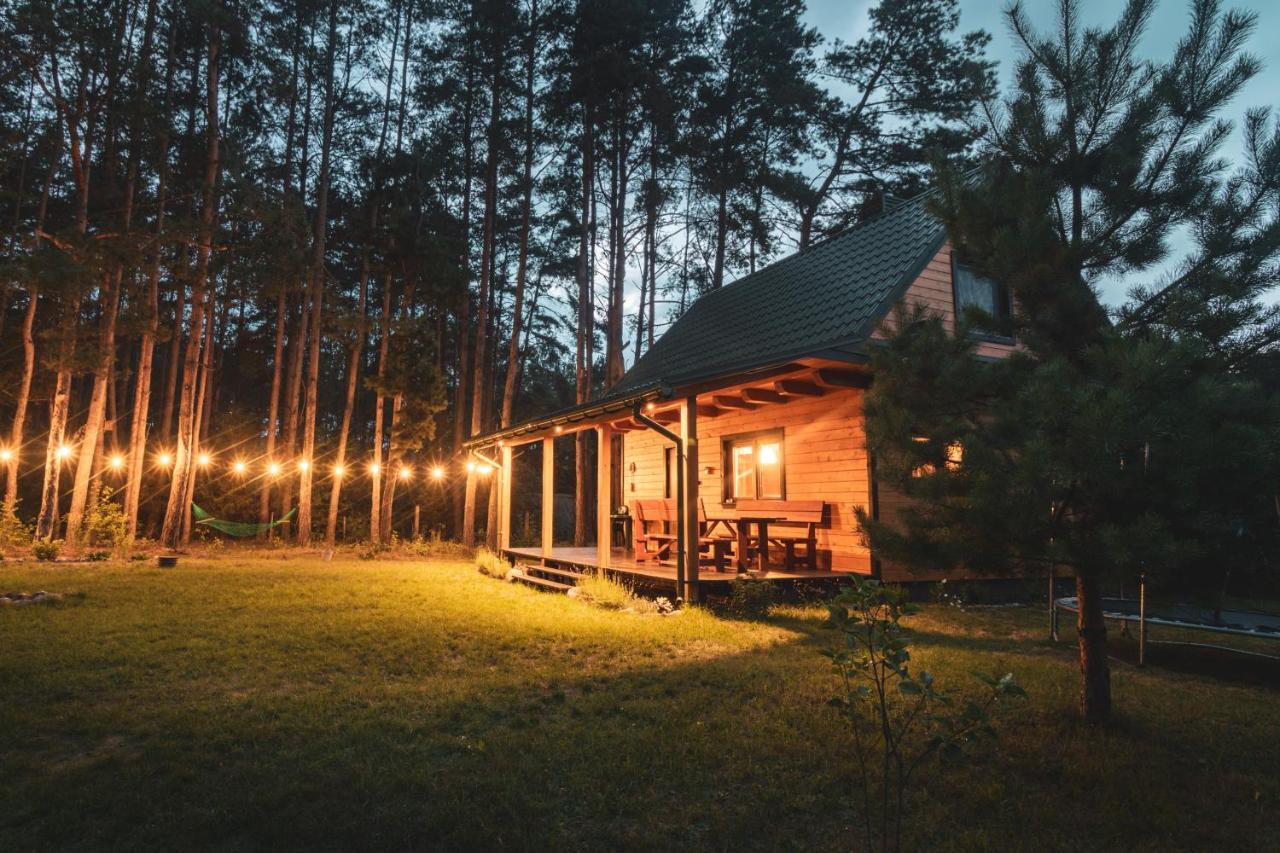 Lesna 21 Dom Poludnie Przy Puszcza Bialowieska Luka المظهر الخارجي الصورة
