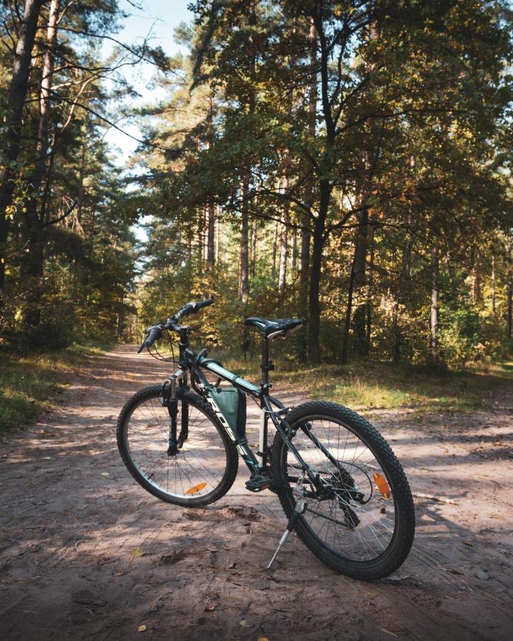 Lesna 21 Dom Poludnie Przy Puszcza Bialowieska Luka المظهر الخارجي الصورة