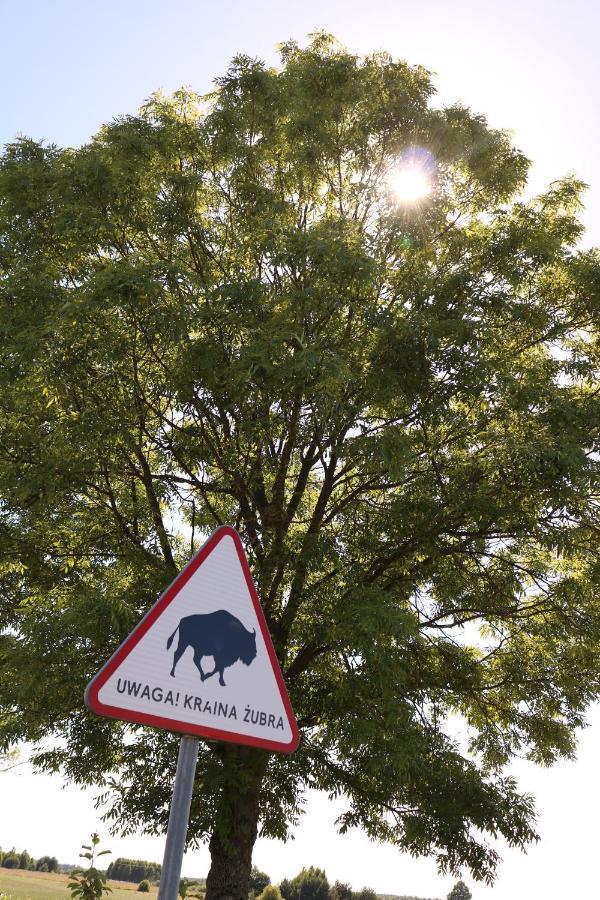 Lesna 21 Dom Poludnie Przy Puszcza Bialowieska Luka المظهر الخارجي الصورة